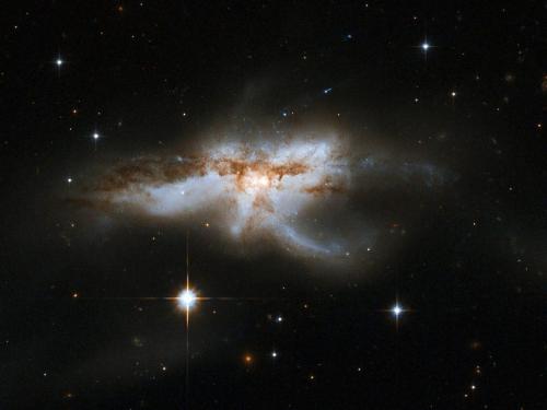 Galaxy - Merging NGC 6240